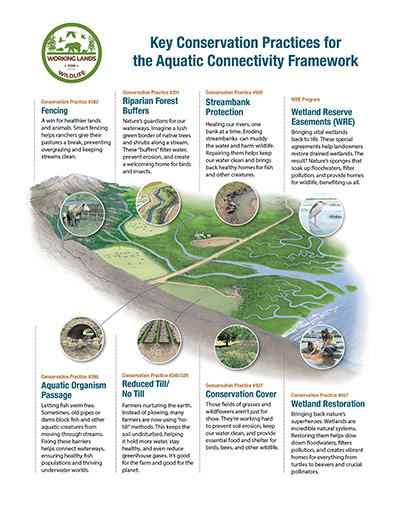 ACF General Public small graphic