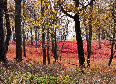 Delaware Water Gap_Jiashiang.jpg Delaware Water Gap_Jiashiang.jpg