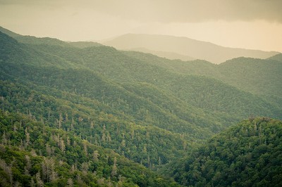 Great Smoky Mountains, Tennessee Great Smoky Mountains, Tennessee