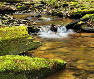 Small stream Small stream